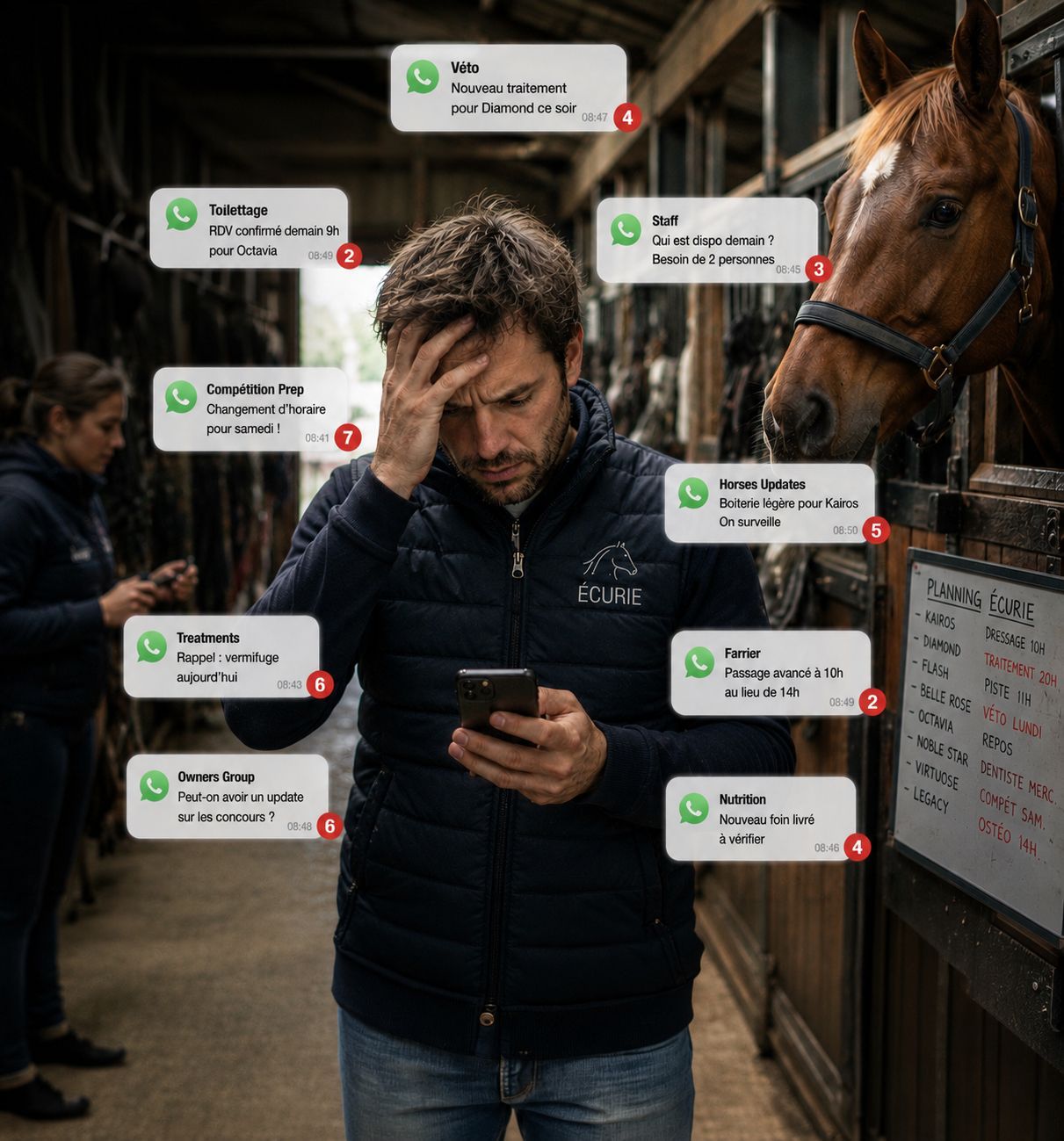 Equicty — écurie professionnelle